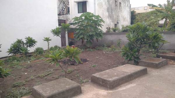 Elevation ganpati-indigo Elevation