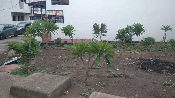 Elevation ganpati-indigo Elevation