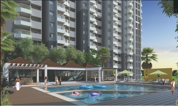  elite apex Elevation