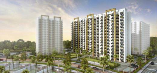 canary-phase-2 Elevation Elevation