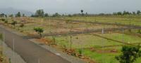 Amrit Greens Colony