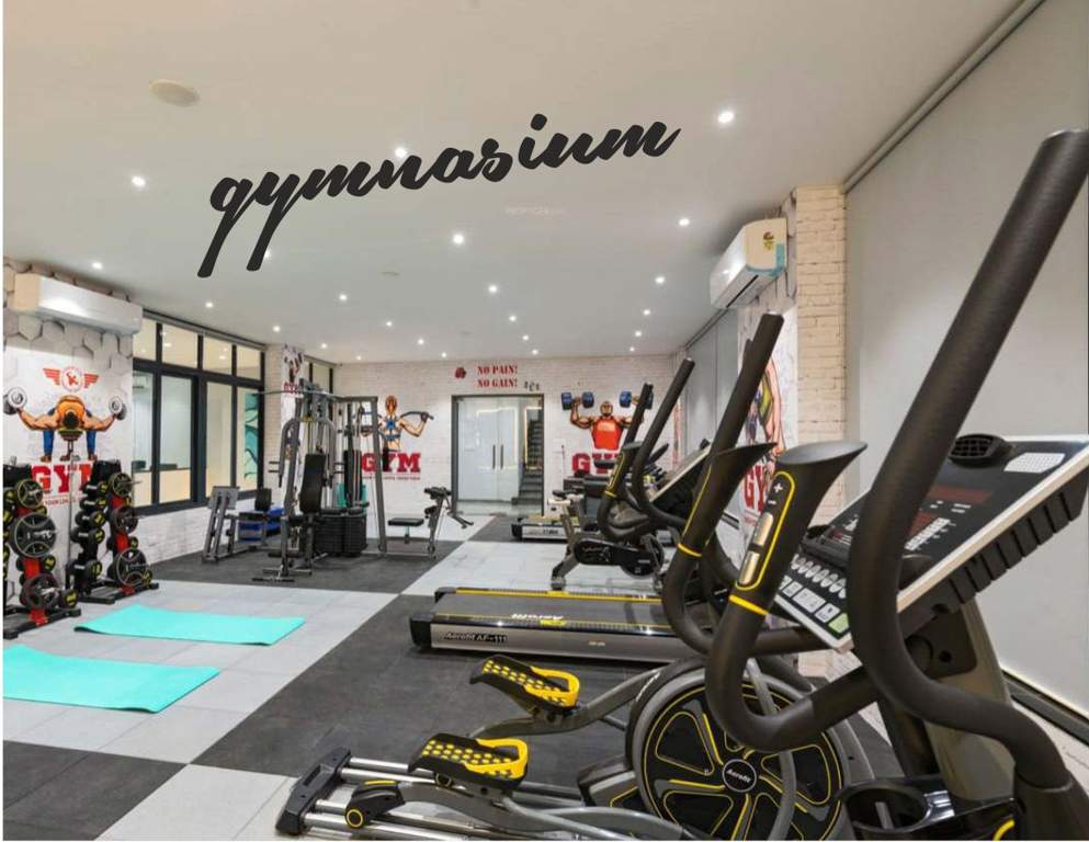  nest Gymnasium