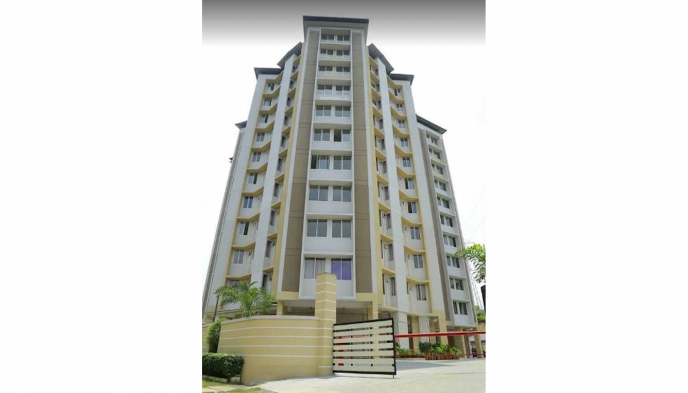 Elevation harmonia Elevation