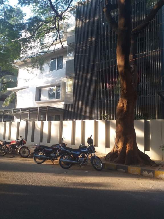  vindhya Elevation