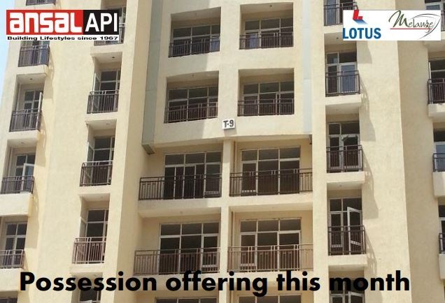  orchard county tulip and carnation Elevation