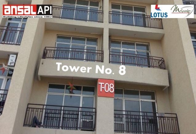  orchard county tulip and carnation Elevation