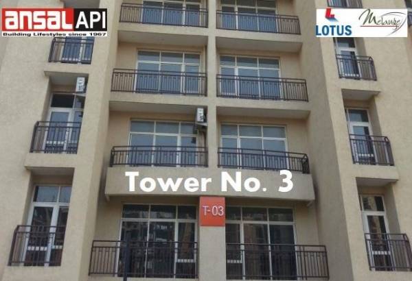  orchard-county-tulip-and-carnation Elevation