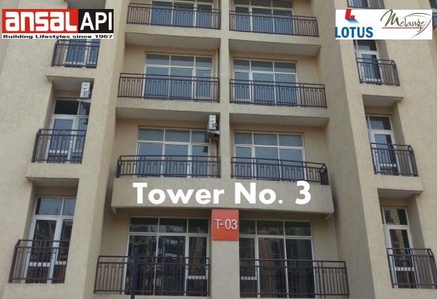  orchard county tulip and carnation Elevation