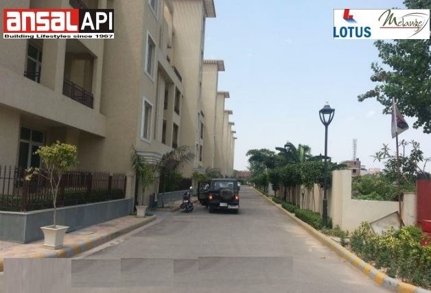  orchard county tulip and carnation Elevation