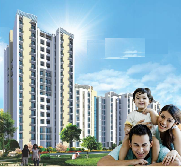 Elevation orchard-county-tulip-and-carnation Elevation