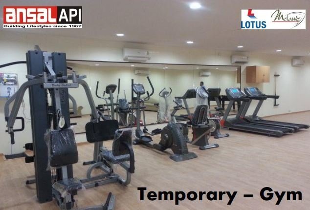  orchard county tulip and carnation Others