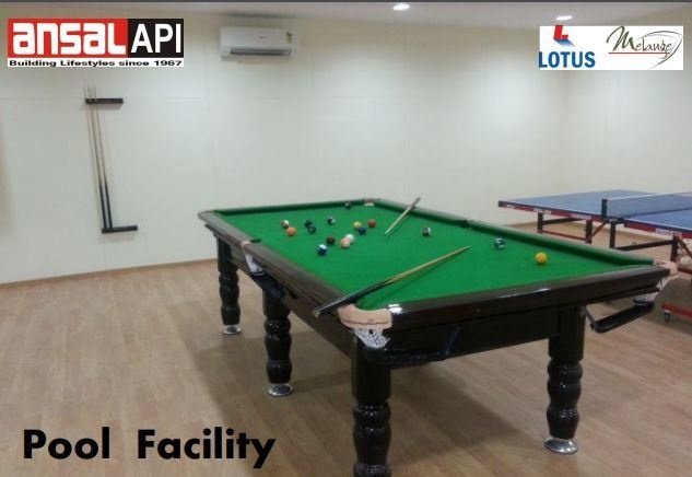  orchard county tulip and carnation Others