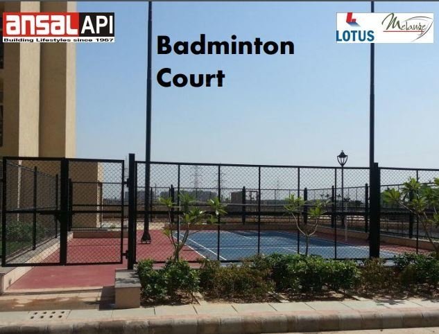  orchard county tulip and carnation Others