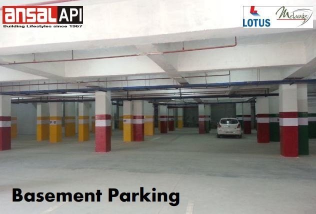  orchard county tulip and carnation Others