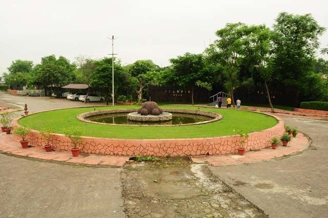 Woodland Paradise Rudraksh Kalptaru
