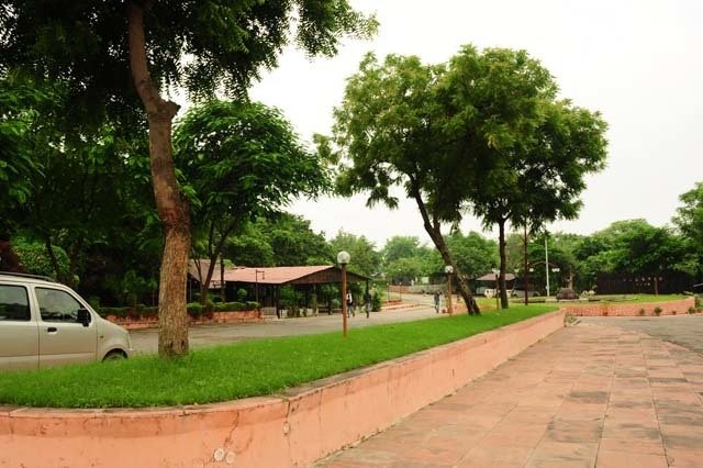 Woodland Paradise Rudraksh Kalptaru