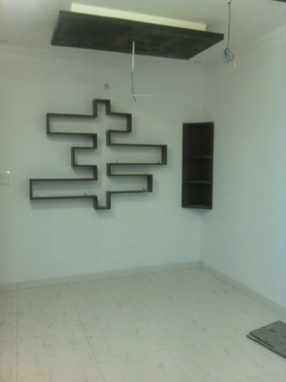 Woodland Paradise Rudraksh Kalptaru