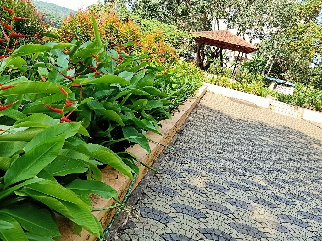 eternity Internal Roads & Footpaths