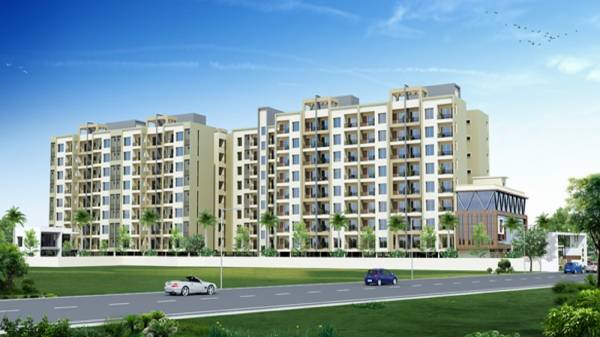 Elevation dolphin-premium-plaza Elevation