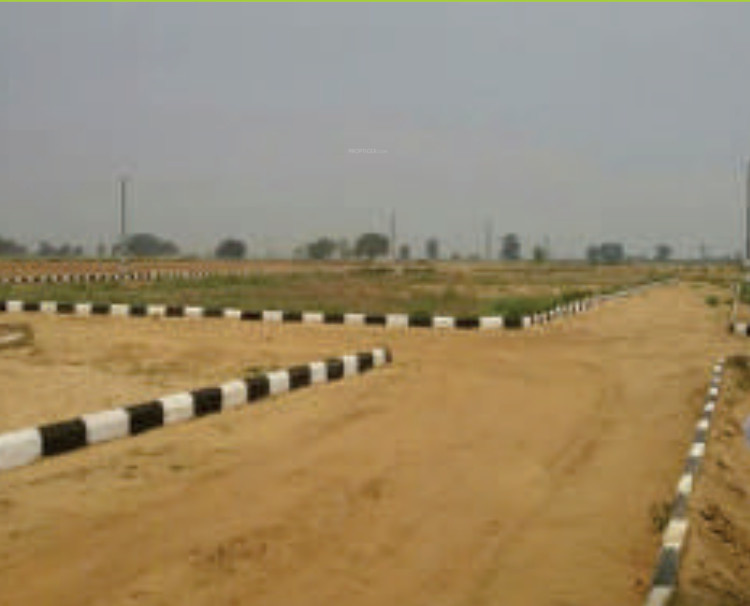 spring fields Elevation