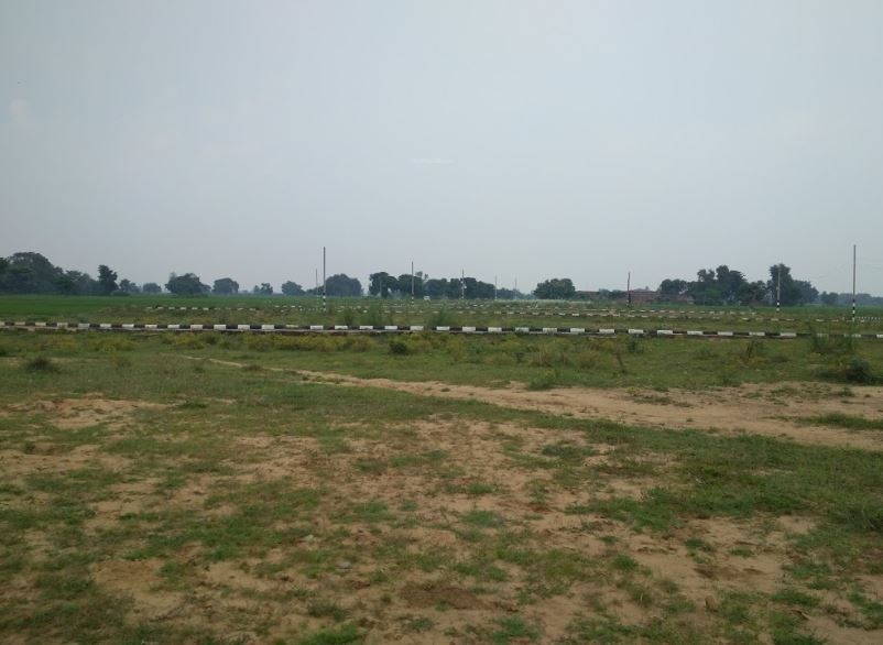 spring fields Elevation