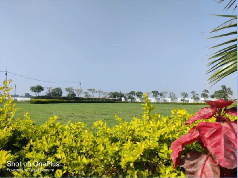  infocity phase 2 Landscape Garden and Tree Planting