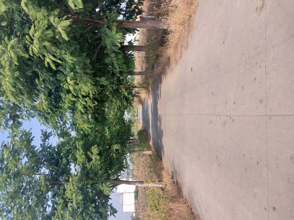  infocity phase 2 Plot