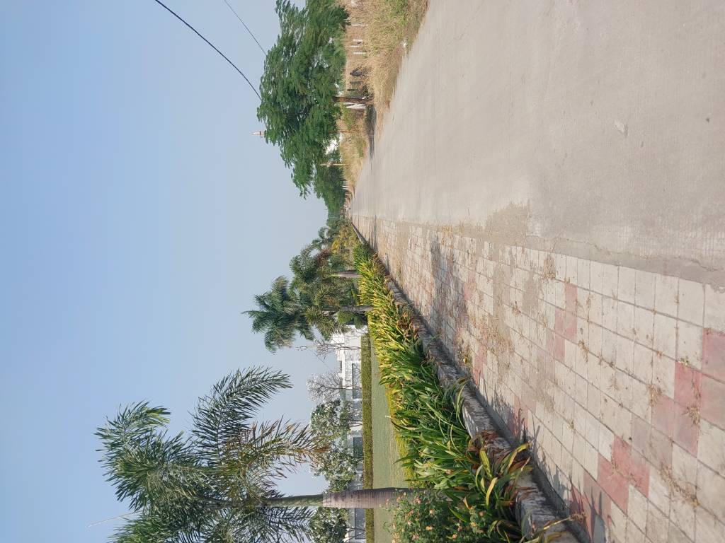  infocity phase 2 Plot