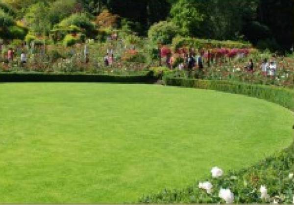 Landscaped Gardens pearl-galaxy Landscaped Gardens