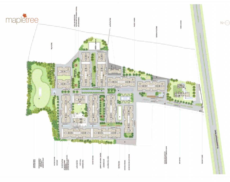 ripl maple tree Master Plan