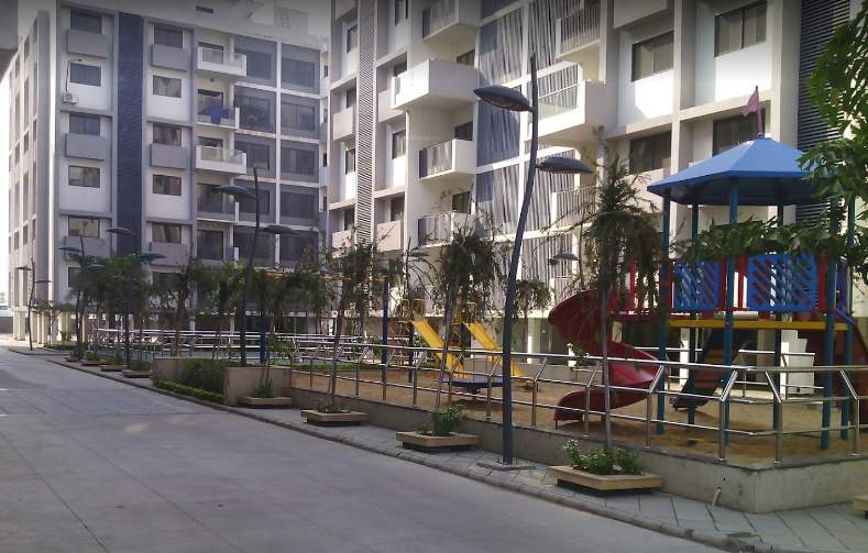 ripl maple tree Children's play area