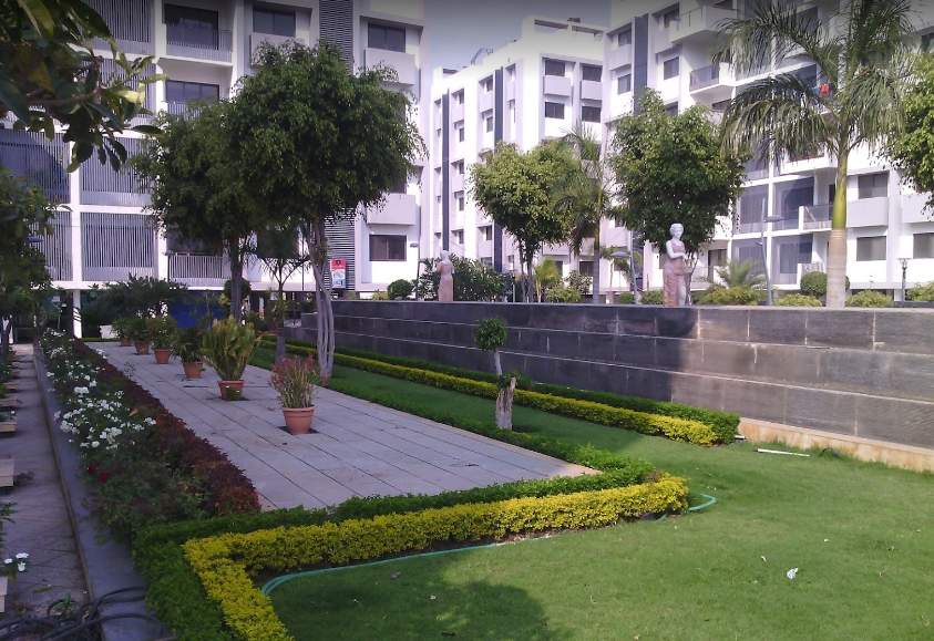 ripl maple tree Landscaped Gardens