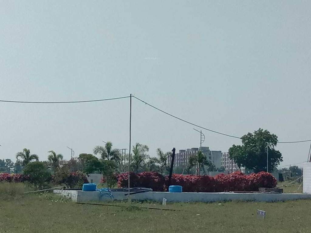 palms phase 2 Landscape Garden and Tree Planting