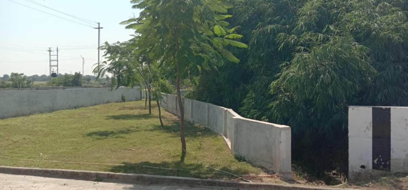 palms phase 2 Landscaped Gardens