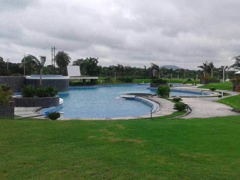 Oyster Green Mount City