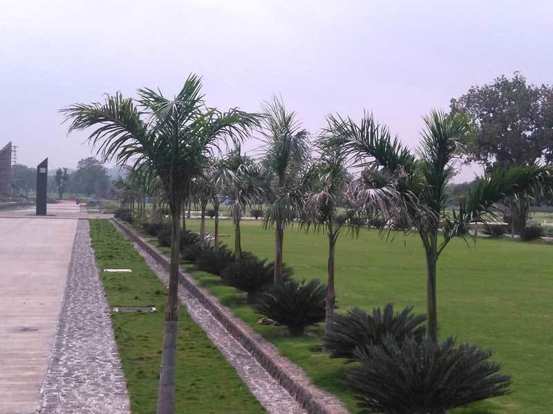 Oyster Green Mount City