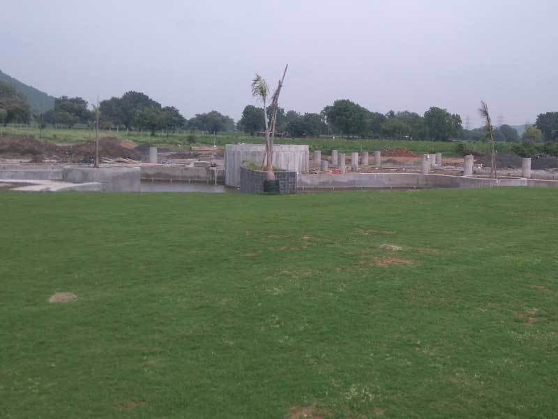 Oyster Green Mount City