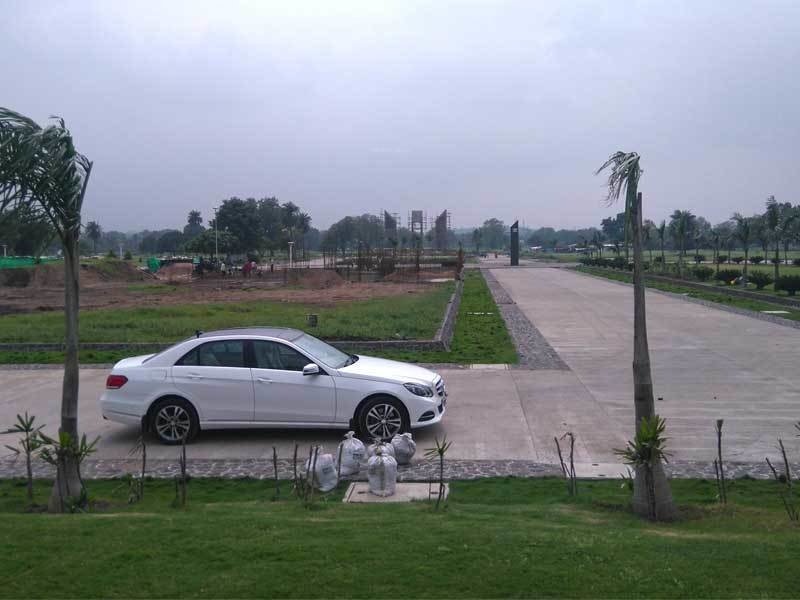 Oyster Green Mount City