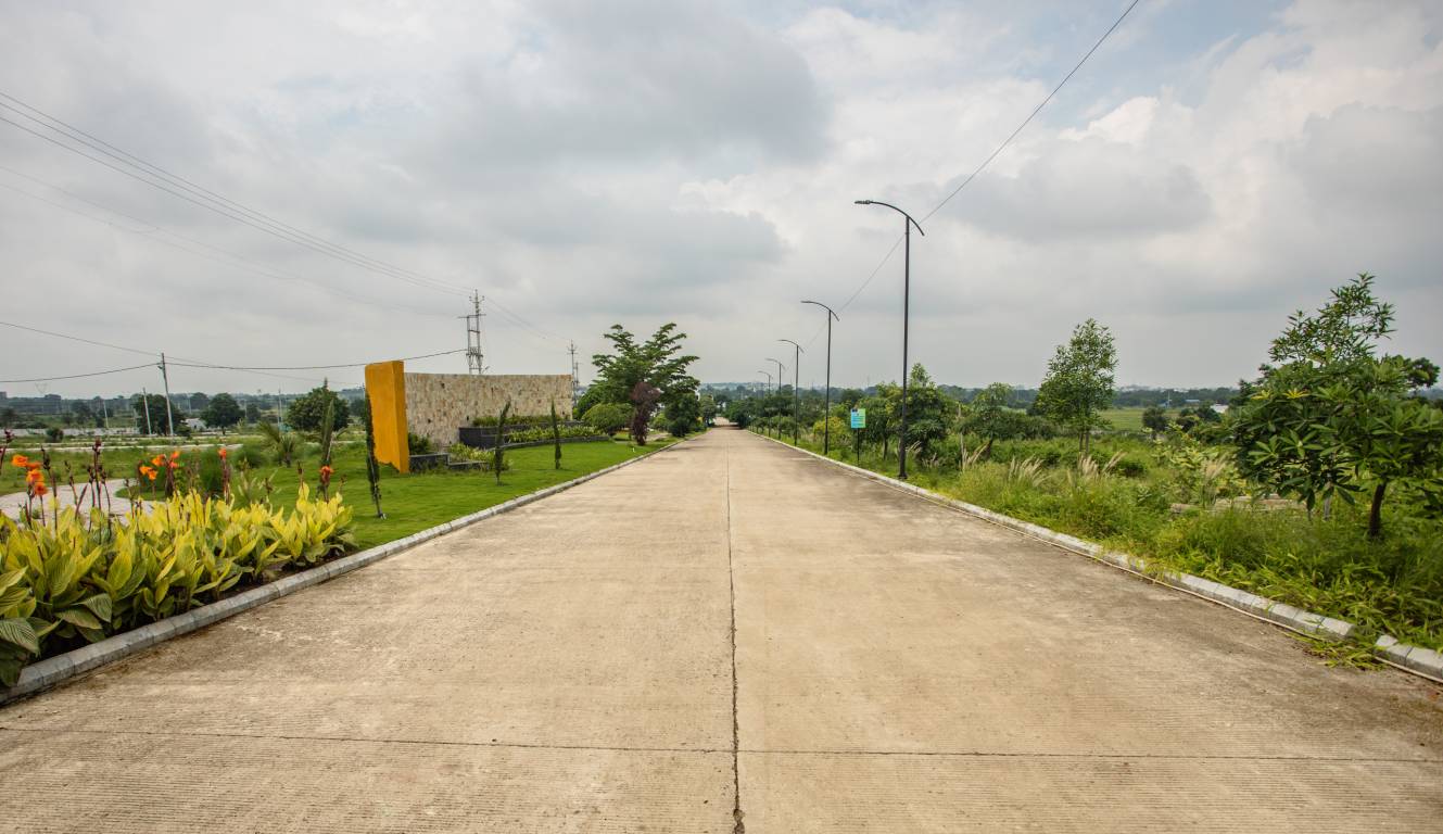 silver sky park Plot