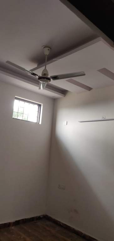  palm greens Images for Main Other of Globus Palm Greens