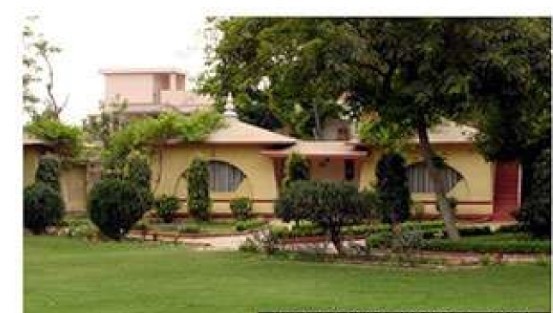  grande-phase-1 Others