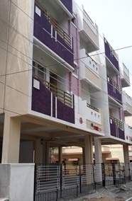  sp parrot wings Elevation