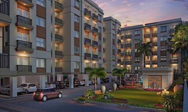 Elevation infinium Elevation