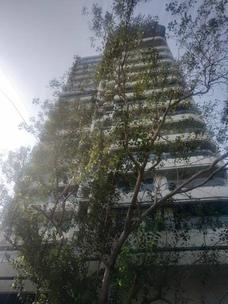  south-ridge Elevation