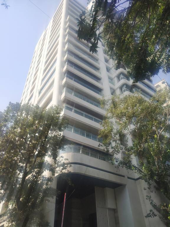  south ridge Elevation