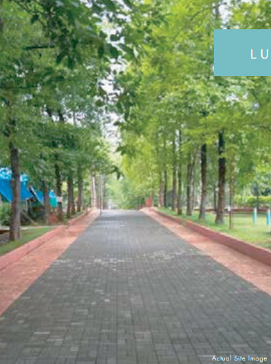  aranya Jogging Track