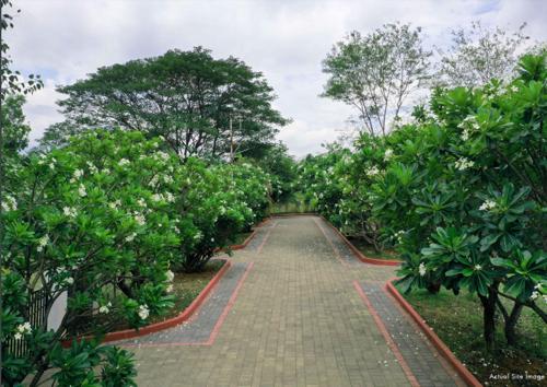  aranya Landscape Garden and Tree Planting