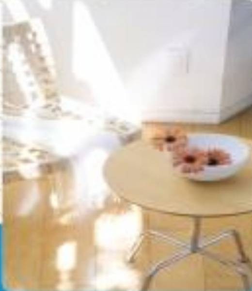  dhanraj-villa Dining Area