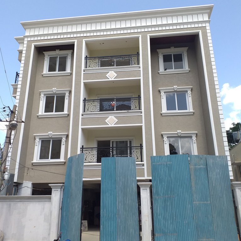  paxina Images for Project