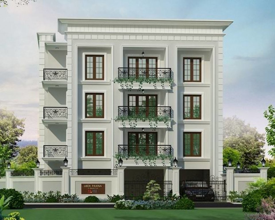  paxina Images for Project